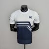Camiseta AlphaTauri F1 2022