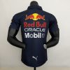 Camiseta Fórmula 1 (Diseño 10)