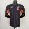 Camiseta Fórmula 1 2023 (Diseño 05)
