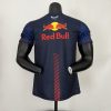 Camiseta Fórmula 1 2023 (Diseño 11)