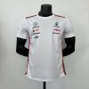 Camiseta Fórmula 1 2023 (Diseño 24)