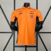 Polo Fórmula 1 2024 (Diseño 01)