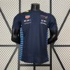 Camiseta Fórmula 1 2024 (Diseño 06)