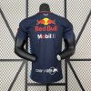 Camiseta Fórmula 1 2024 (Diseño 06)