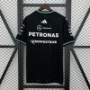 Camiseta Fórmula 1 2025 (Diseño 10)