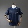 Camiseta Fórmula 1 2025 (Diseño 18)
