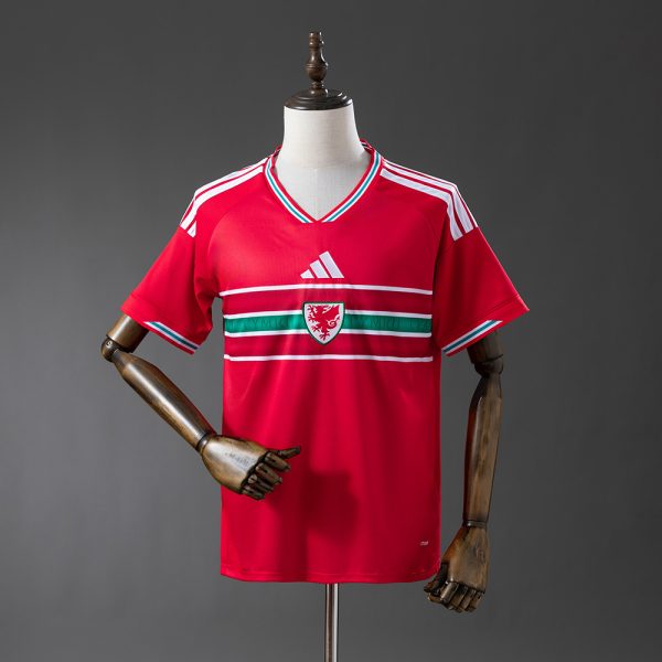 Camiseta Gales 2026 — Primera equipación