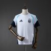 Camiseta Argentina 2026 — Entrenamiento (Diseño 02)