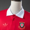 Camiseta Gales — Edición especial (Diseño 01)