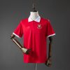 Camiseta Gales — Edición especial (Diseño 01)