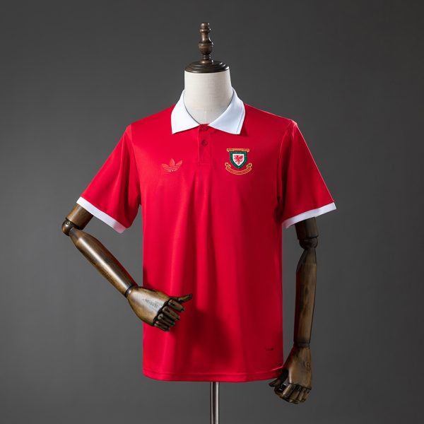 Camiseta Gales — Edición especial (Diseño 01)